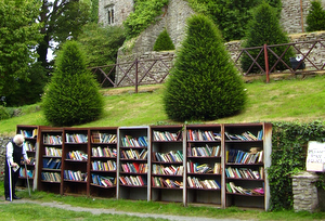 books on bookshelves outside a castle