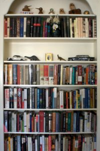 Home bookshelves filled with books and toys